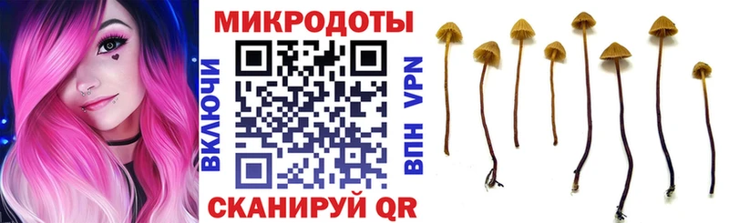 купить   Печора  Псилоцибиновые грибы Psilocybe 