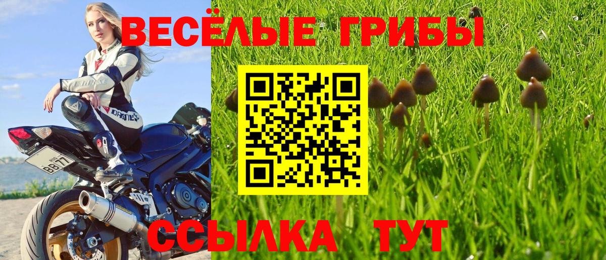 Галлюциногенные грибы MAGIC MUSHROOMS Печора