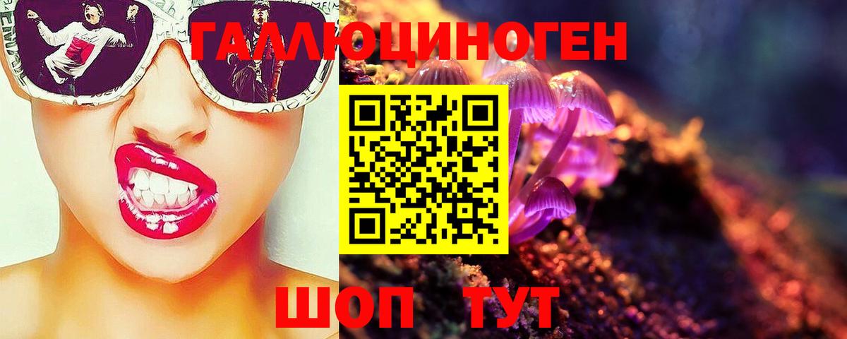 Печора  Псилоцибиновые грибы Psilocybine cubensis  Вход с VPN 